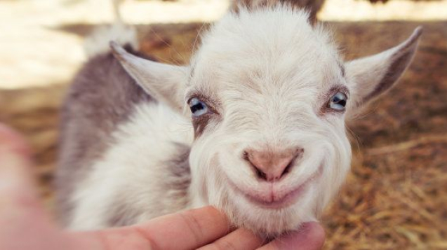 5602929c6f47afcd2f892101e1ea36b5