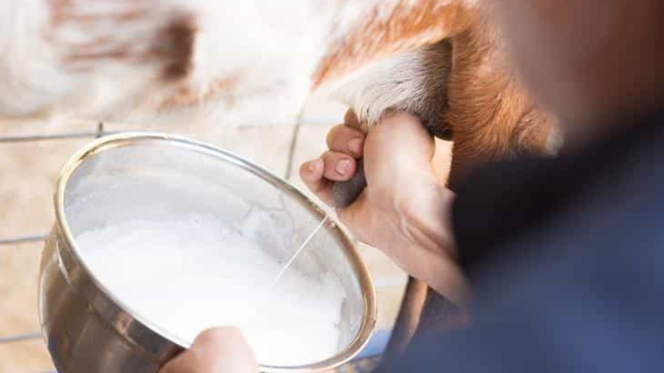 d96edf3e9d8b0adf640fcb9dc167c5fc